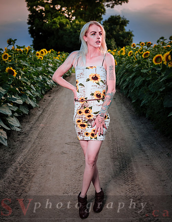 Sunflower Farm
