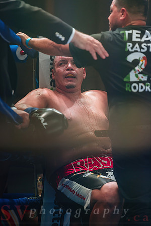 Shaw Boxing 2022