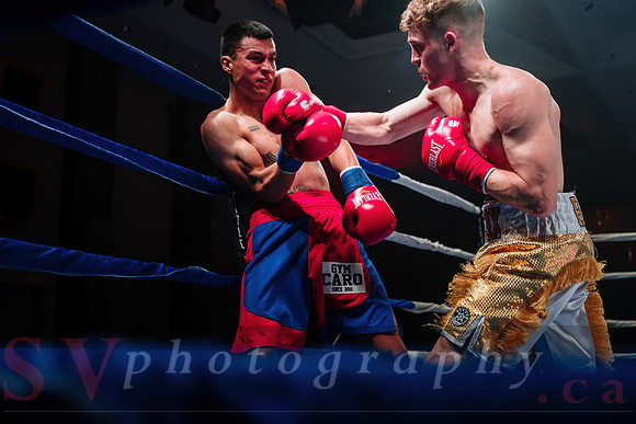 Shaw Boxing 2022
