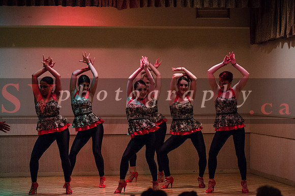 iFreestyle.ca Latin Dance Company