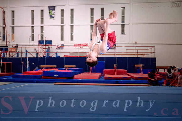 Gymnastics Mississauga