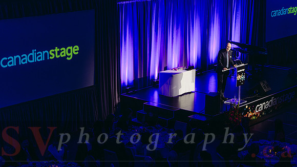 2015 Canadian Stage Theatre Ball at the Arcadian Court