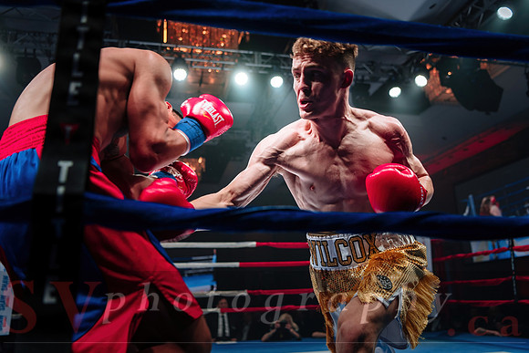 Shaw Boxing 2022