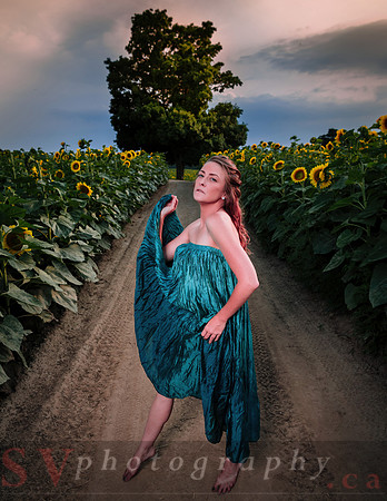Sunflower Farm