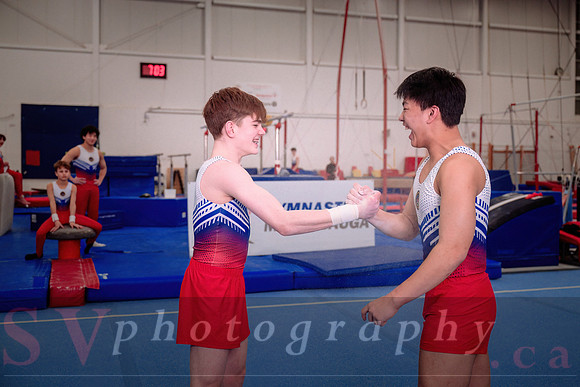 Gymnastics Mississauga
