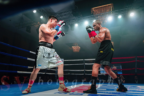 Shaw Boxing 2022