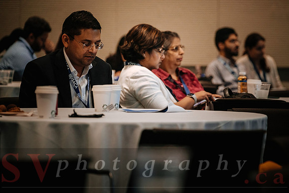 ISACA Annual Summer Conference