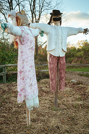 Wedding of Renée & Peter