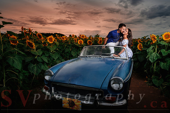 In the field of dreams
