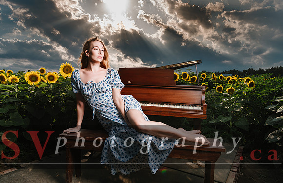 Sunflowers