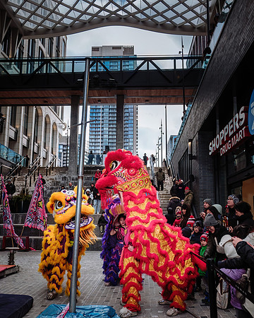 Lunar New Year Celebrations