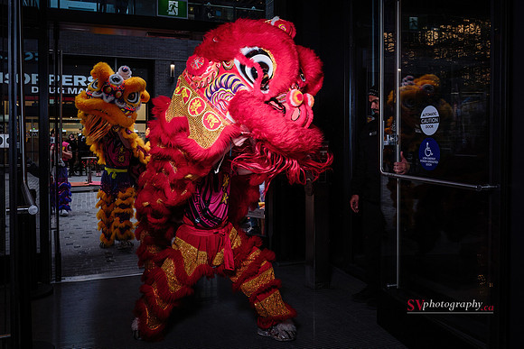 Lunar New Year Celebrations