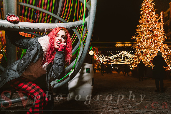 Distillery Winter Village