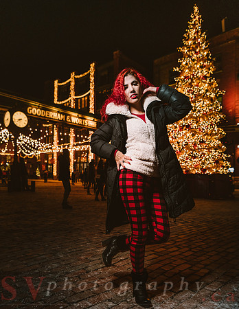 Distillery Winter Village