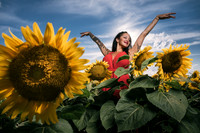 Sunflower Farm