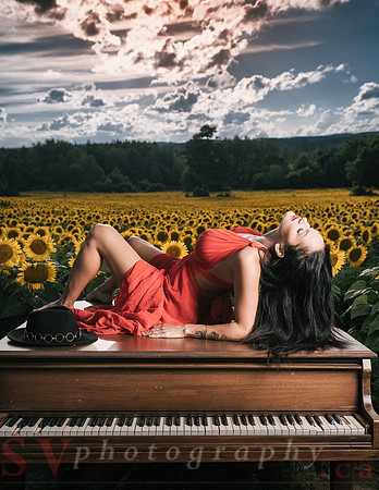 Sunflower Farm