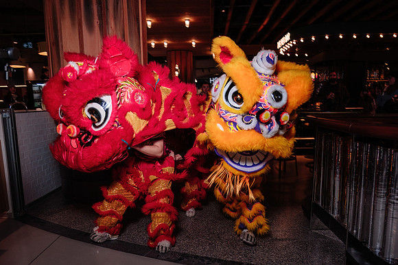 Lunar New Year Celebrations