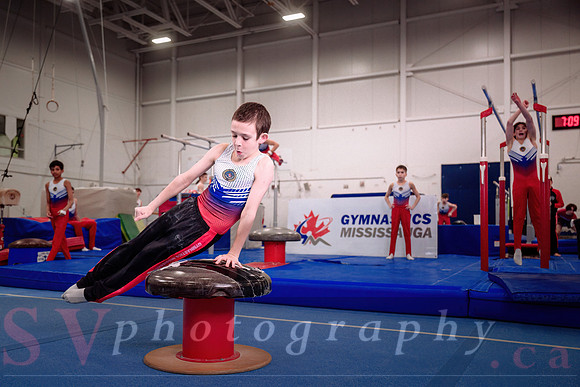 Gymnastics Mississauga