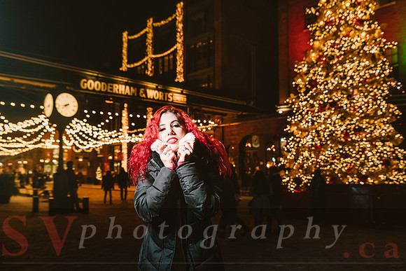 Distillery Winter Village