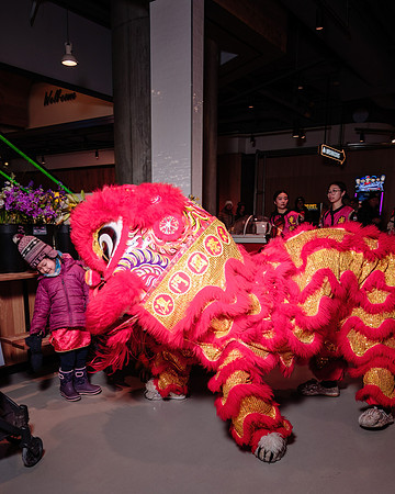 Lunar New Year Celebrations