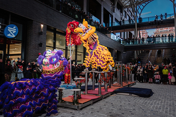 Lunar New Year Celebrations
