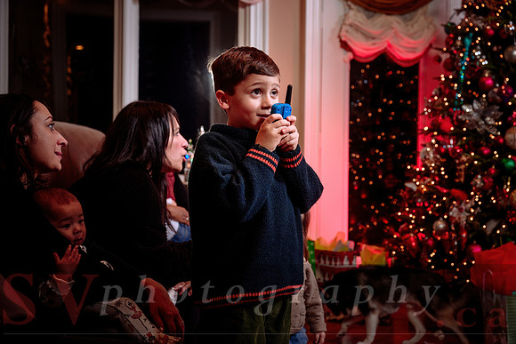 Nicolaidis Xmas Party
