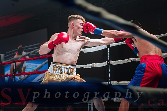 Shaw Boxing 2022