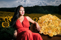 Sunflower Farm