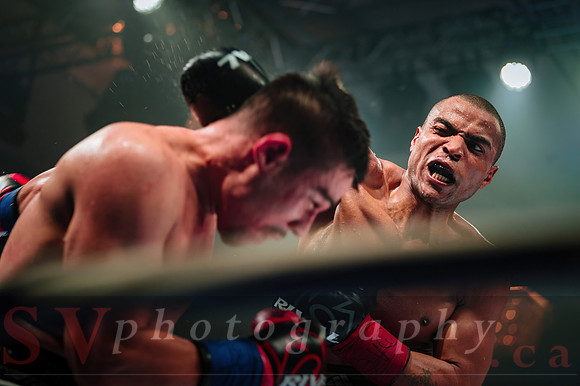 Shaw Boxing 2022
