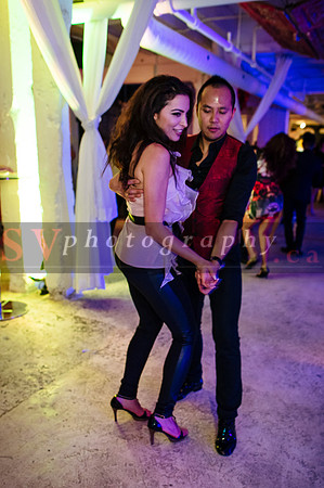 iFreeStyle's 8th Annual Christmas Gala - Social Dancing