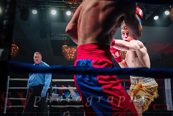 Shaw Boxing 2022