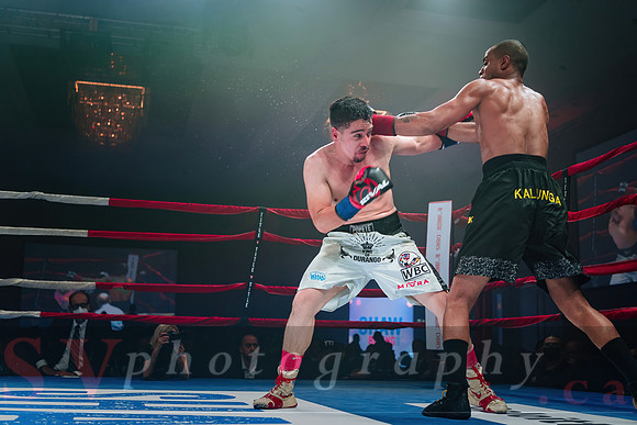 Shaw Boxing 2022