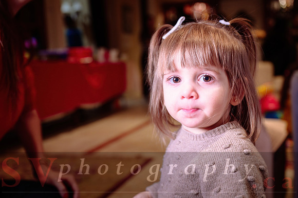 Nicolaidis Xmas Party