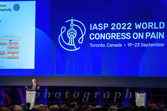 19th World Congress on Pain