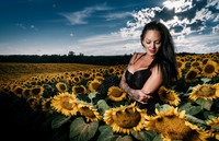 Sunflower Farm