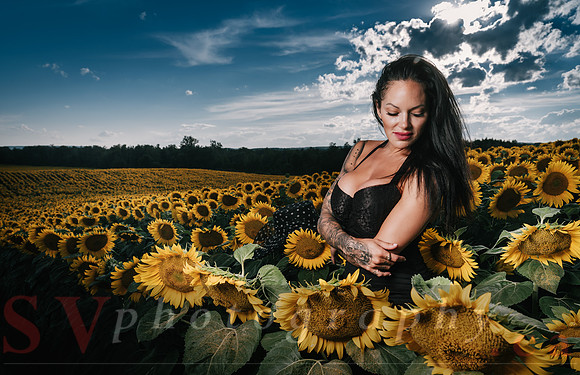 Sunflower Farm