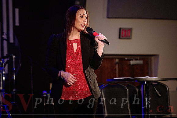 Young Professional Leadership Summit