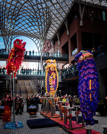 Lunar New Year Celebrations
