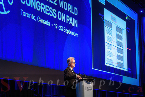19th World Congress on Pain