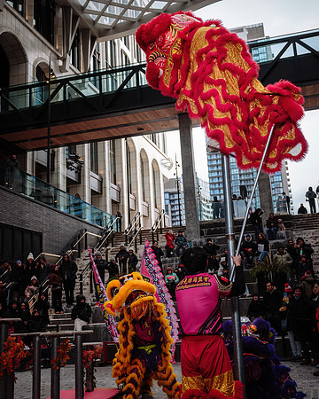 Lunar New Year Celebrations