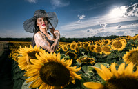 Sunflower Farm