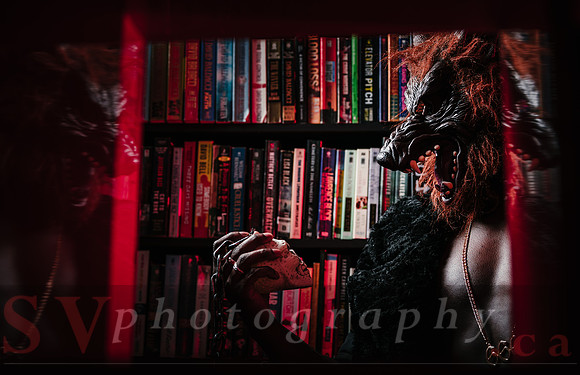 After Hours at the Bookstore