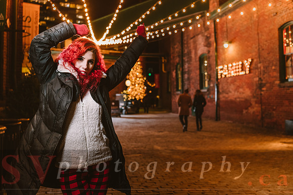 Distillery Winter Village