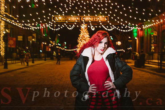 Distillery Winter Village