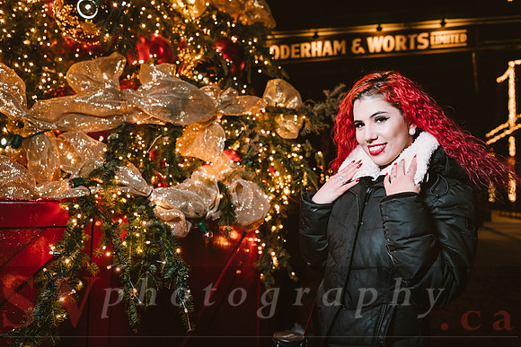 Distillery Winter Village