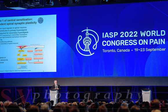 19th World Congress on Pain