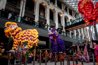 2025-01-26 Chinese New Year