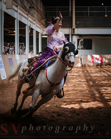 CNE’s interactive horse program CNE HorseCapades