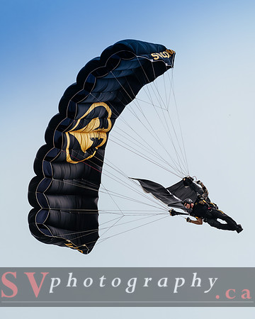 Airshow London 2018