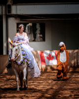 CNE’s interactive horse program CNE HorseCapades